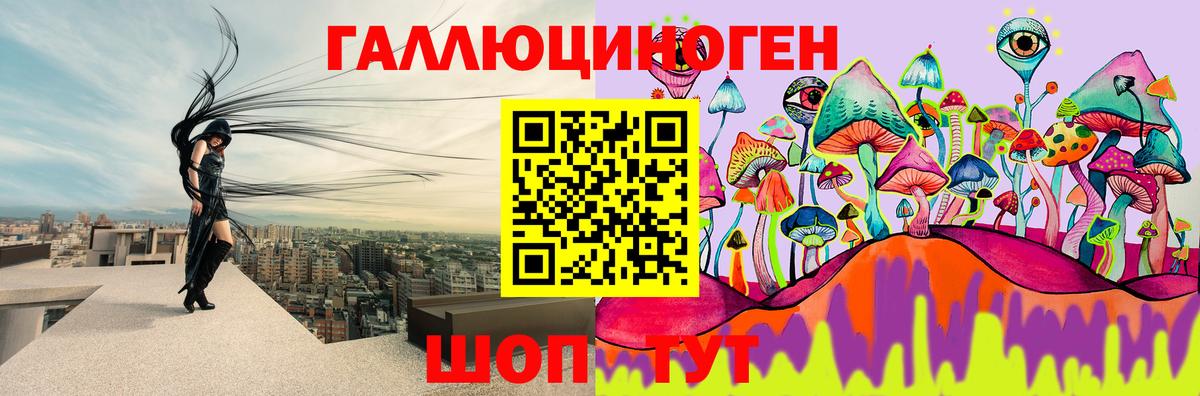 Галлюциногенные грибы Psilocybe Глазов