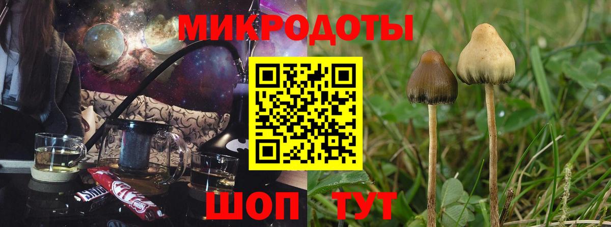 Псилоцибиновые грибы GOLDEN TEACHER  Вход с VPN  Глазов 