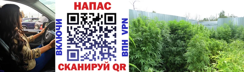 omg ссылка  Глазов  МАРИХУАНА VHQ  хочу  